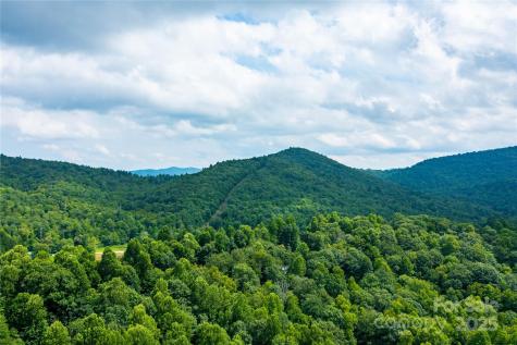 000 Sassafras Drive Little Switzerland NC 28777