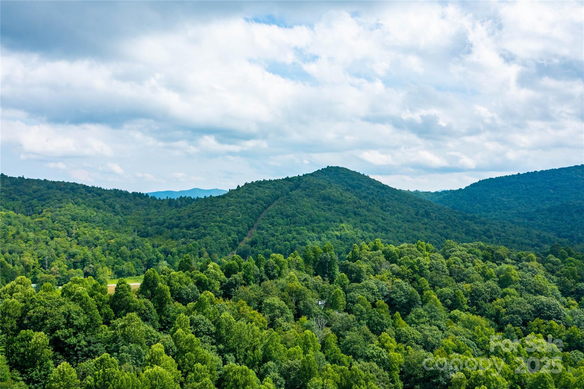 000 Sassafras Drive Little Switzerland NC 28777
