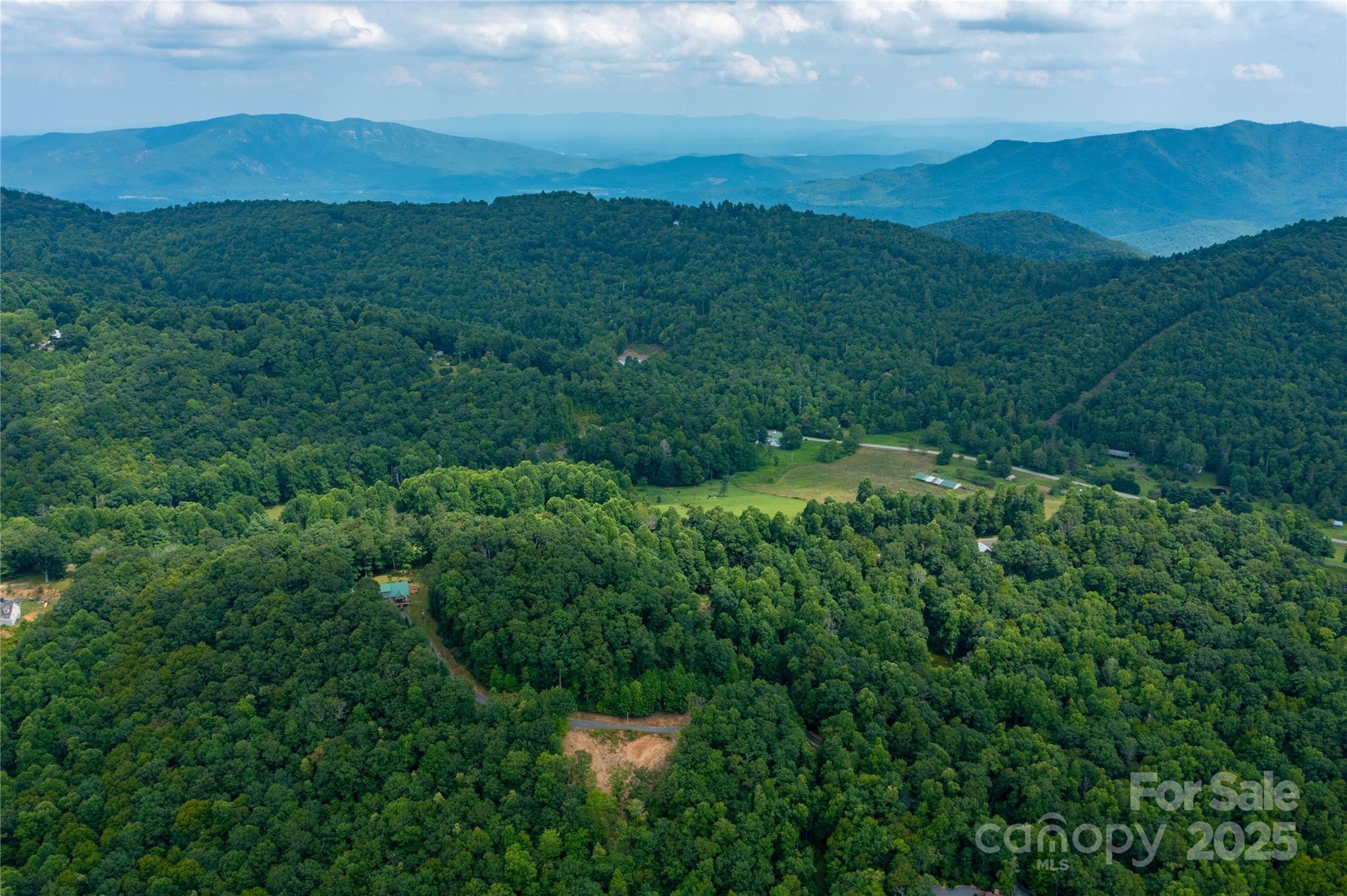 000 Sassafras Drive Little Switzerland NC 28777