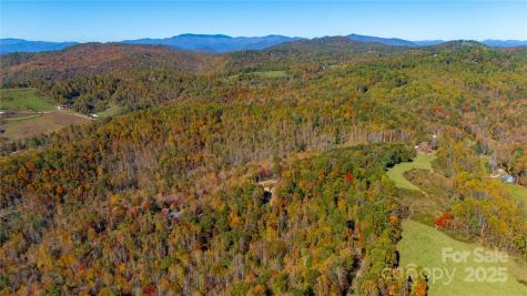000 Sassafras Drive Little Switzerland NC 28777