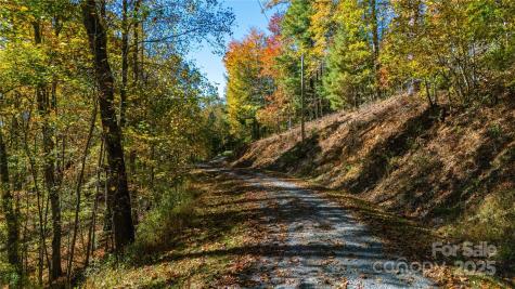 000 Sassafras Drive Little Switzerland NC 28777