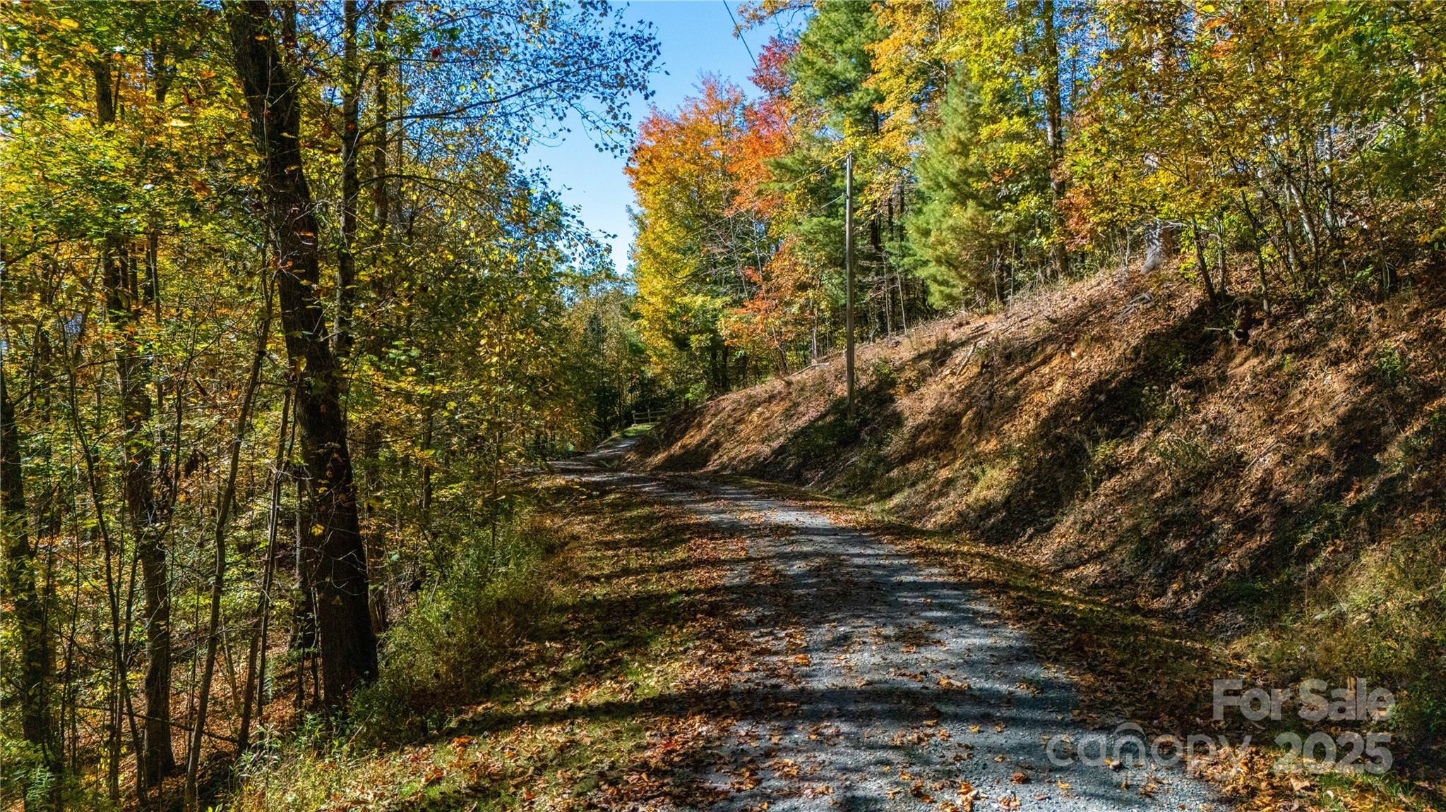 000 Sassafras Drive Little Switzerland NC 28777