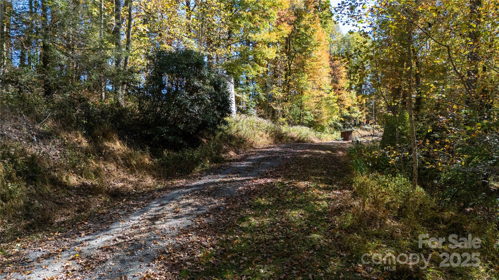 000 Sassafras Drive Little Switzerland NC 28777