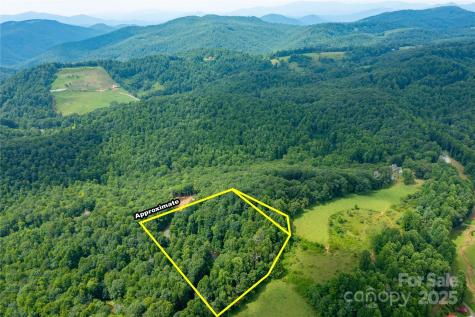 000 Sassafras Drive Little Switzerland NC 28777