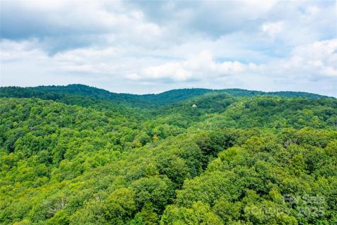 000 Sassafras Drive Little Switzerland NC 28777