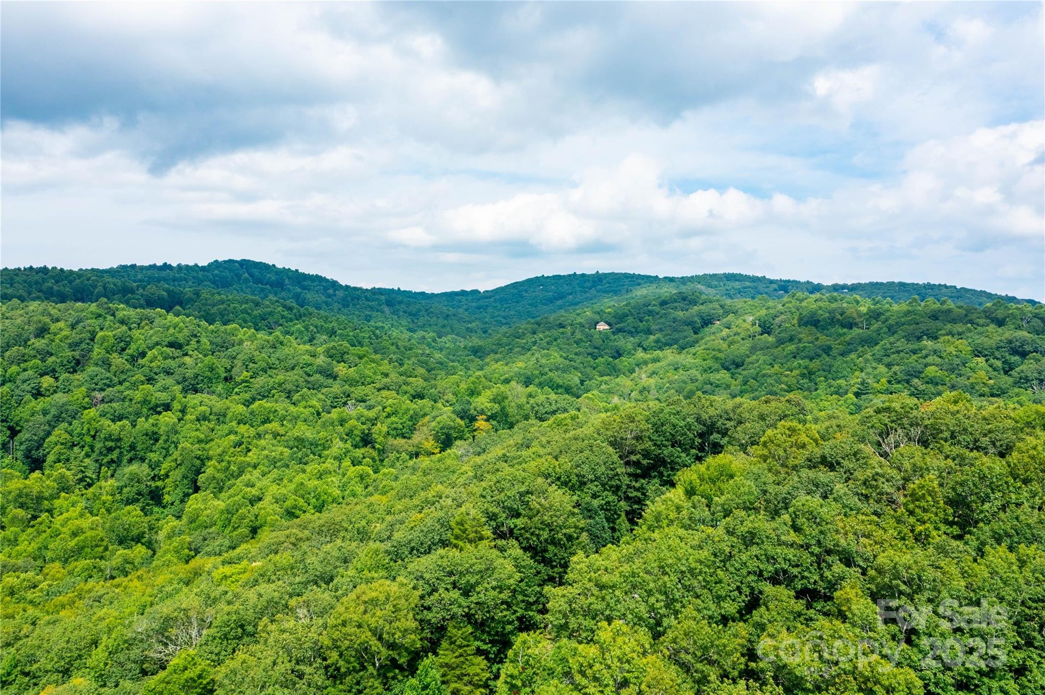 000 Sassafras Drive Little Switzerland NC 28777