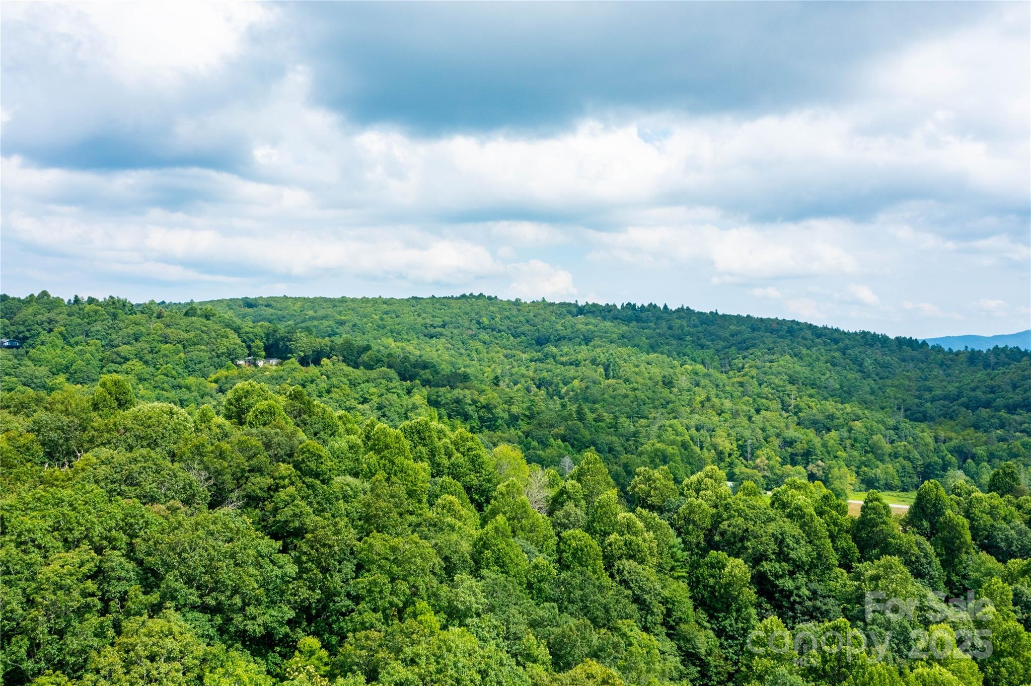 000 Sassafras Drive Little Switzerland NC 28777