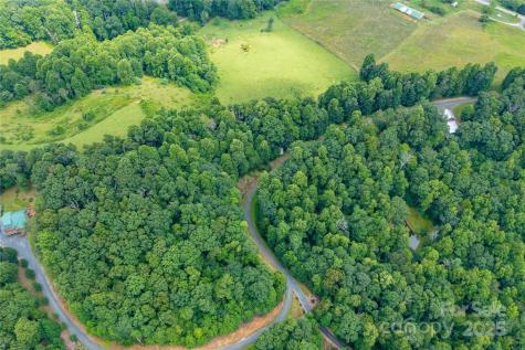 000 Sassafras Drive Little Switzerland NC 28777