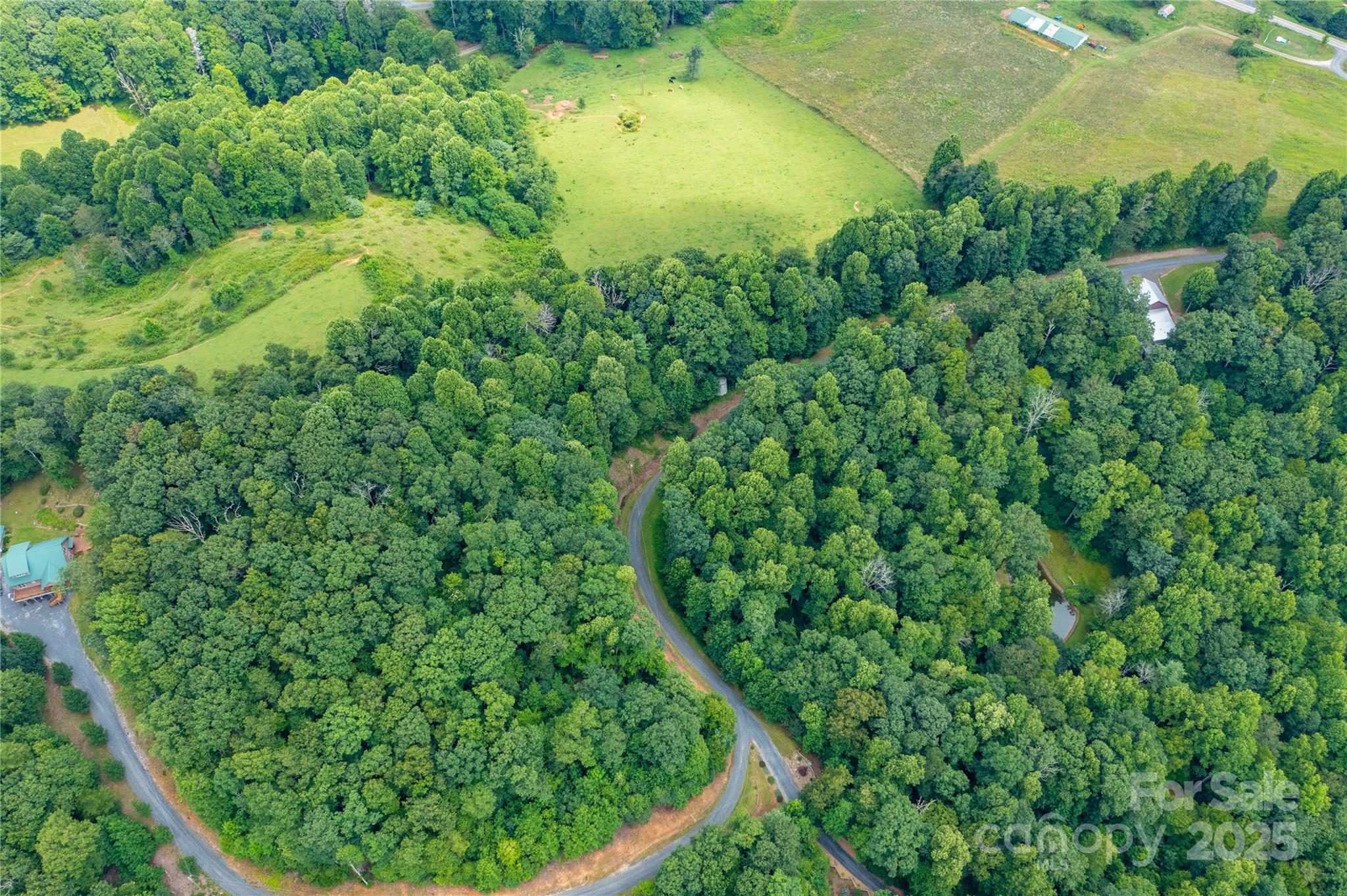 000 Sassafras Drive Little Switzerland NC 28777