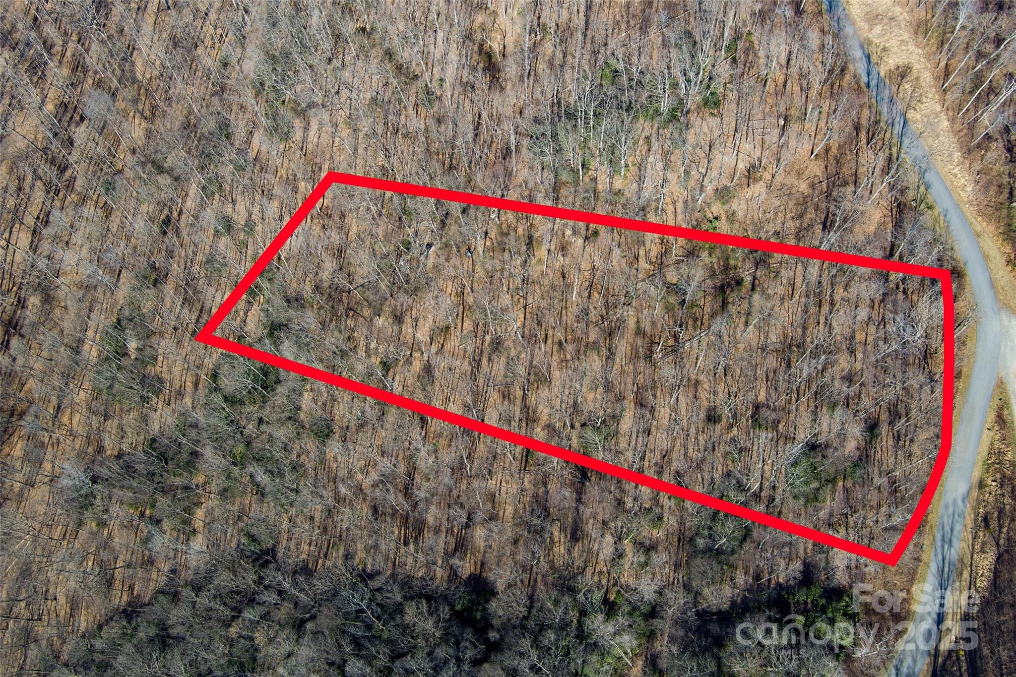 00 Summit View Drive Canton NC 28716