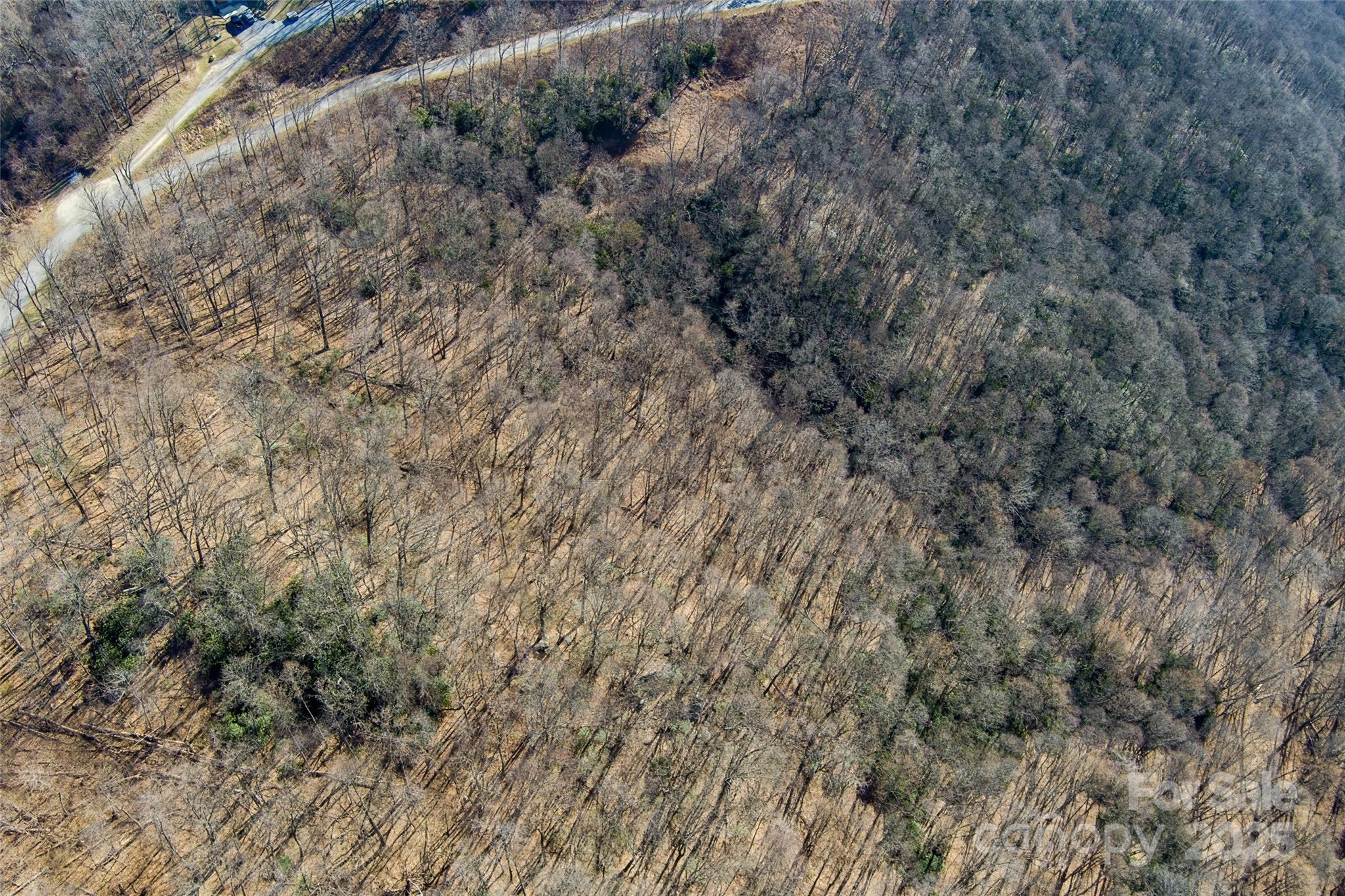00 Summit View Drive Canton NC 28716