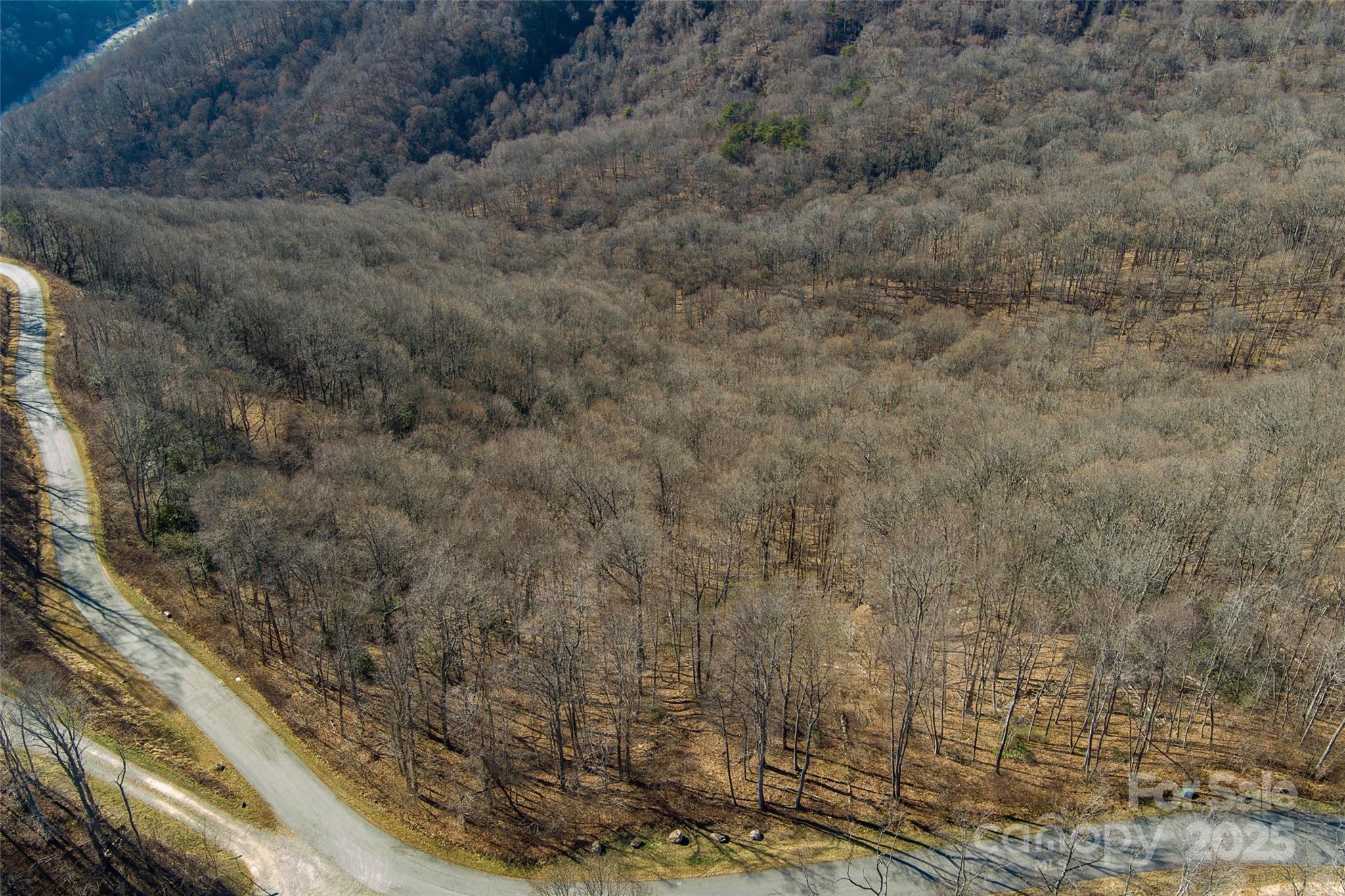 00 Summit View Drive Canton NC 28716