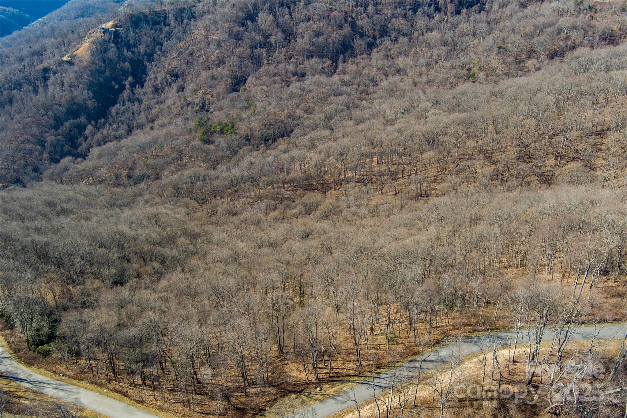 00 Summit View Drive Canton NC 28716