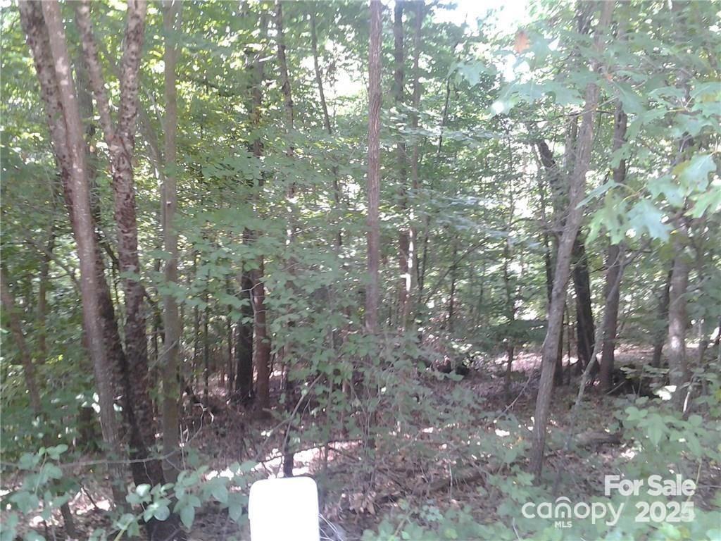 223 Mays Mills Drive Cramerton NC 28032