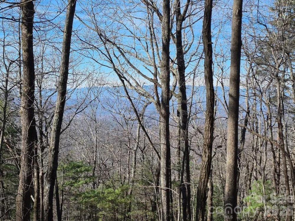 0 Roper Hollow Road Morganton NC 28655