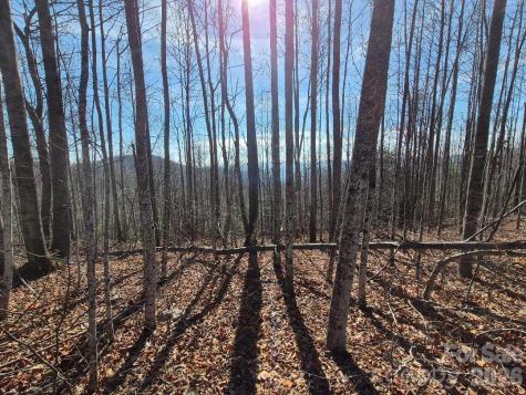 0 Roper Hollow Road Morganton NC 28655