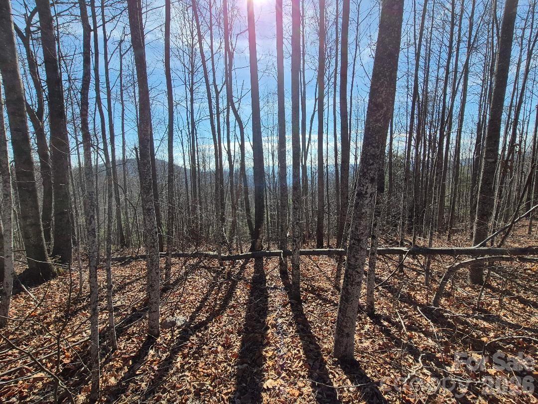 0 Roper Hollow Road Morganton NC 28655