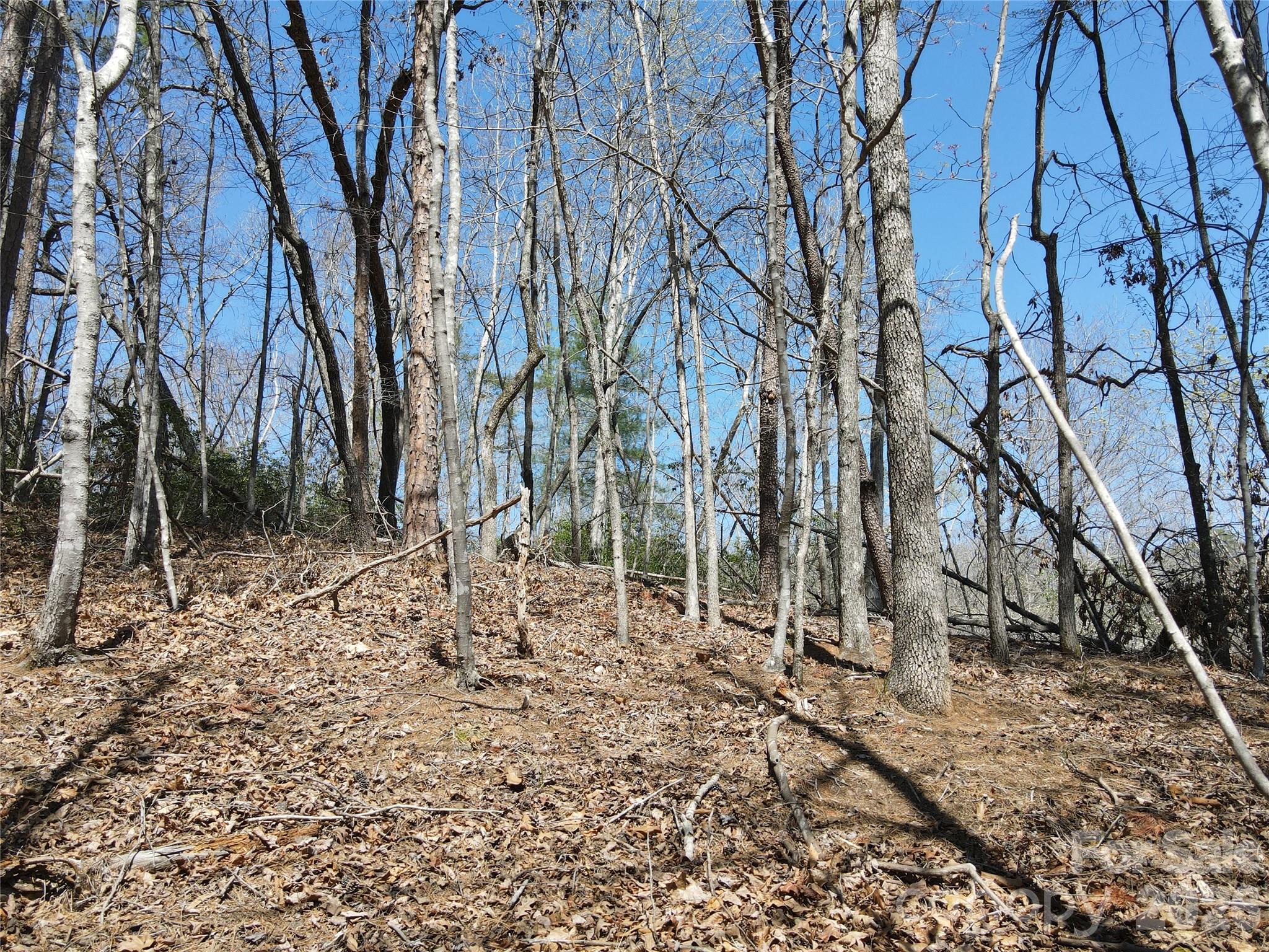 284 Oriole Drive Lake Lure NC 28746