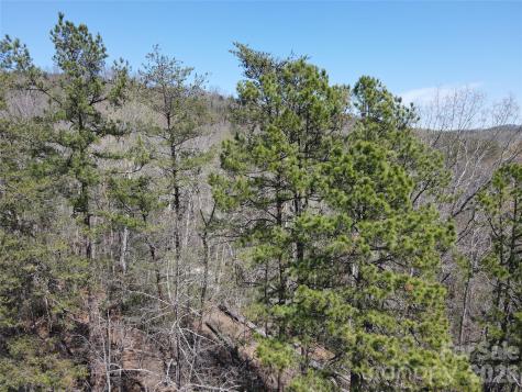 284 Oriole Drive Lake Lure NC 28746