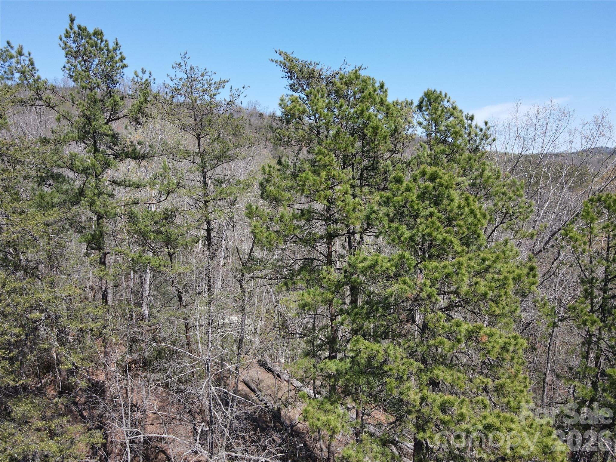 284 Oriole Drive Lake Lure NC 28746