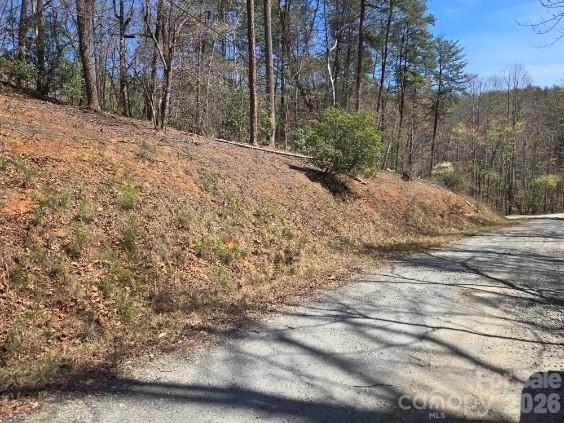 284 Oriole Drive Lake Lure NC 28746
