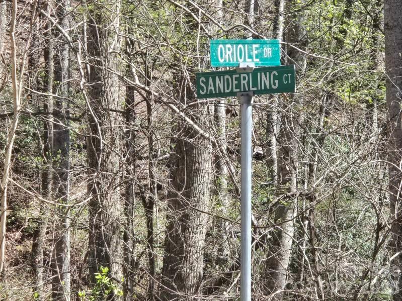 284 Oriole Drive Lake Lure NC 28746