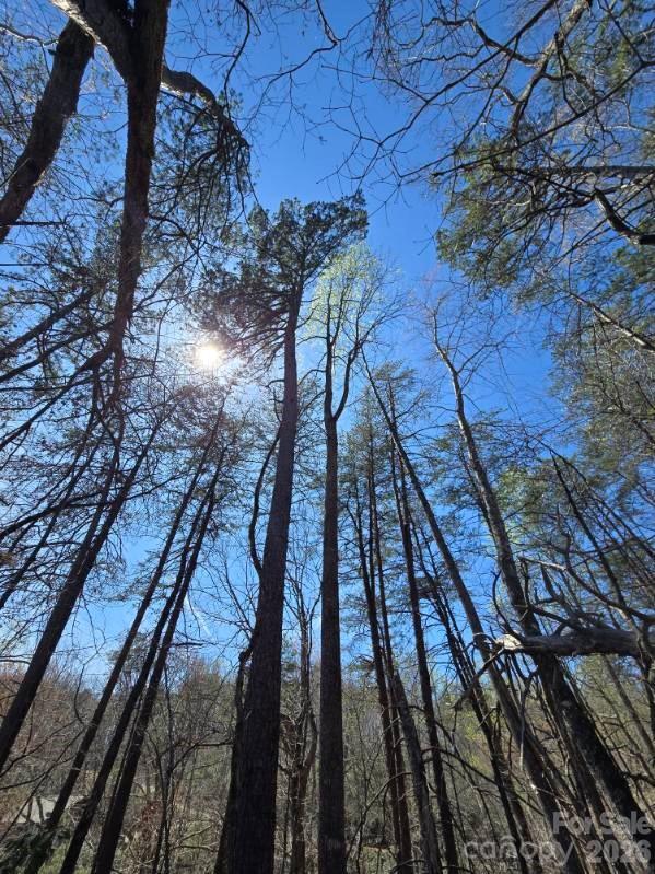 284 Oriole Drive Lake Lure NC 28746