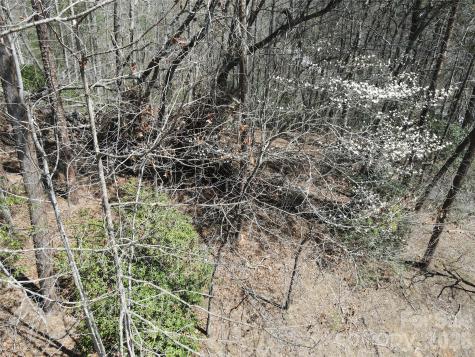 284 Oriole Drive Lake Lure NC 28746