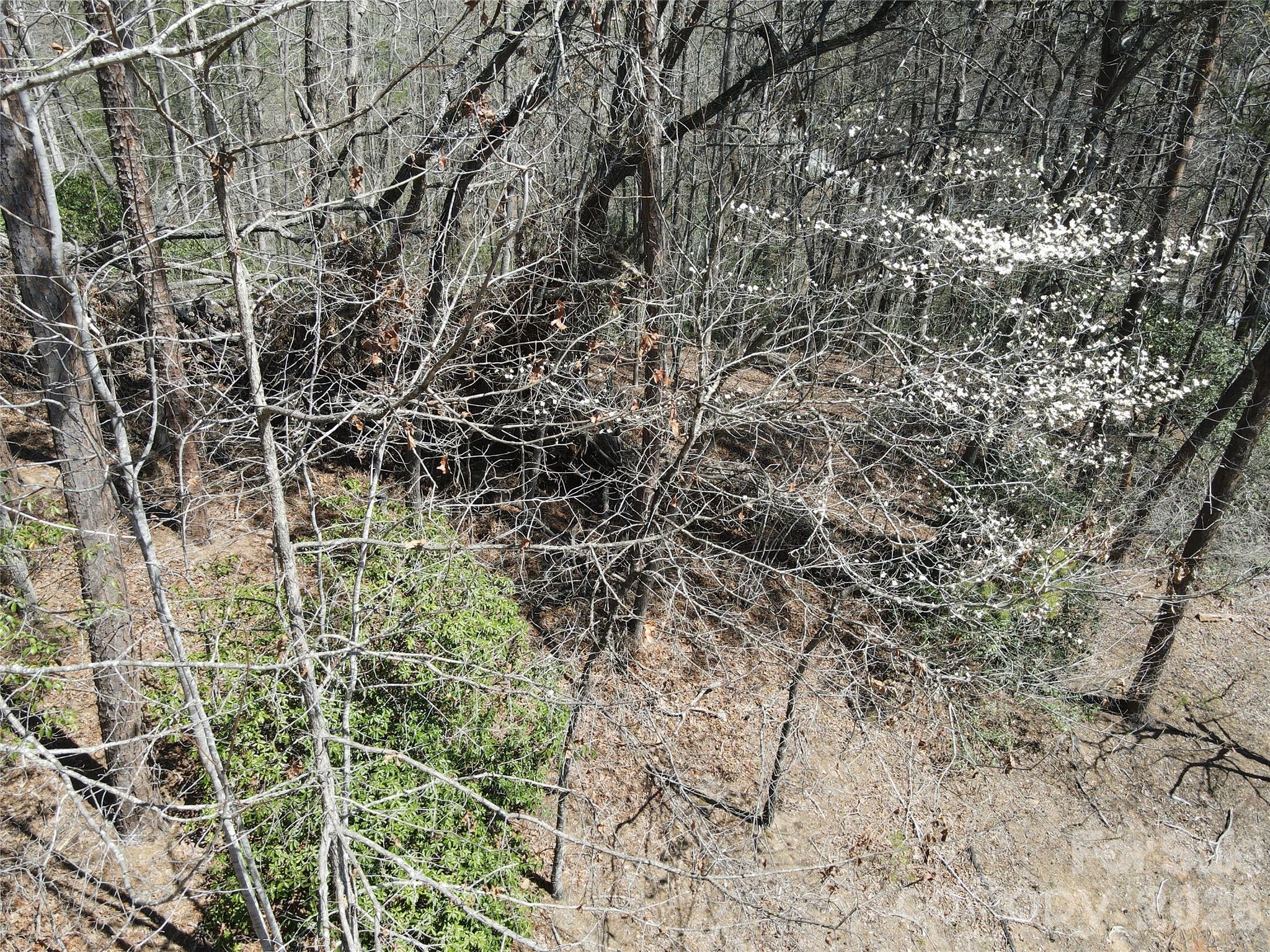 284 Oriole Drive Lake Lure NC 28746