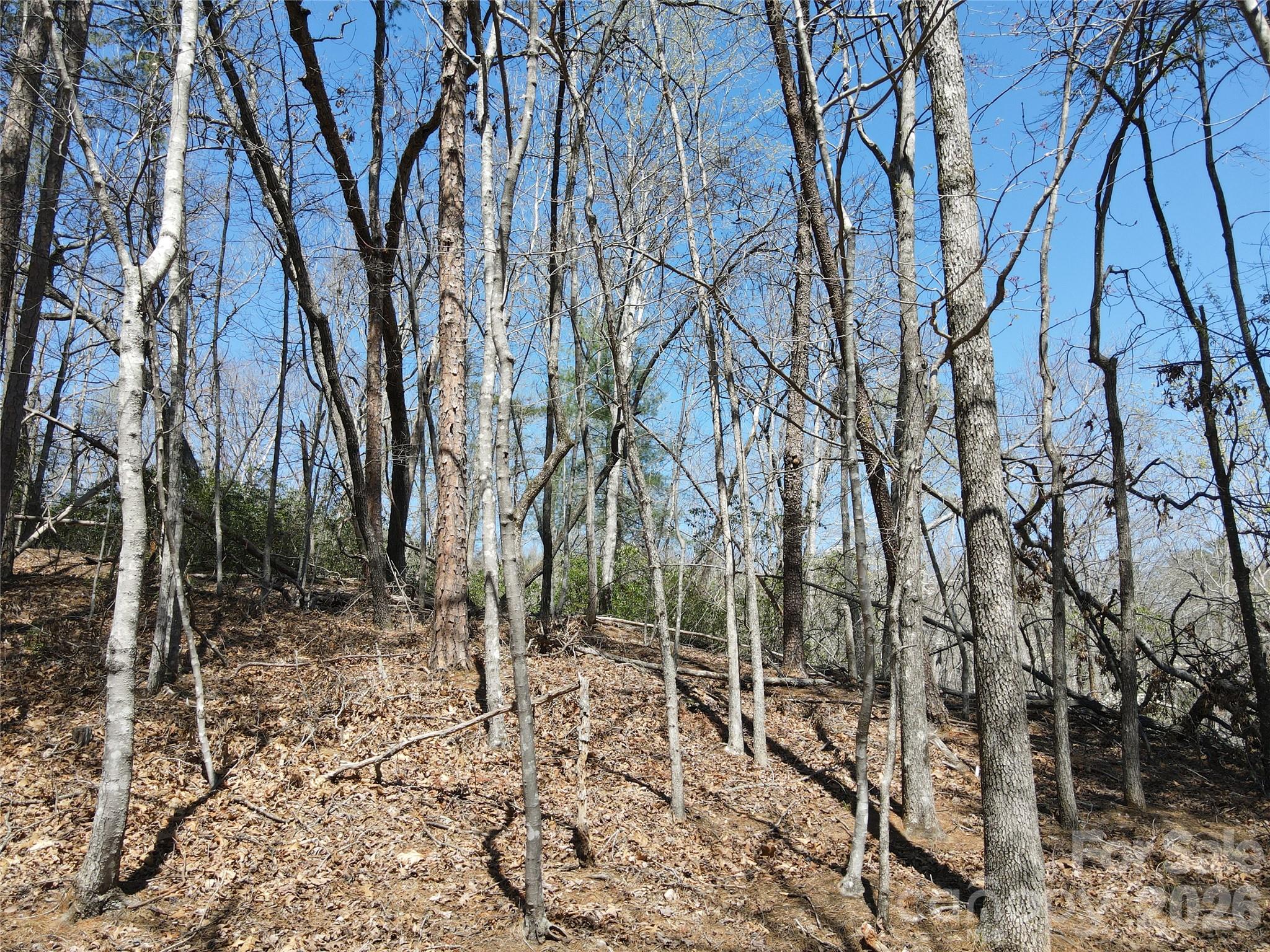 284 Oriole Drive Lake Lure NC 28746