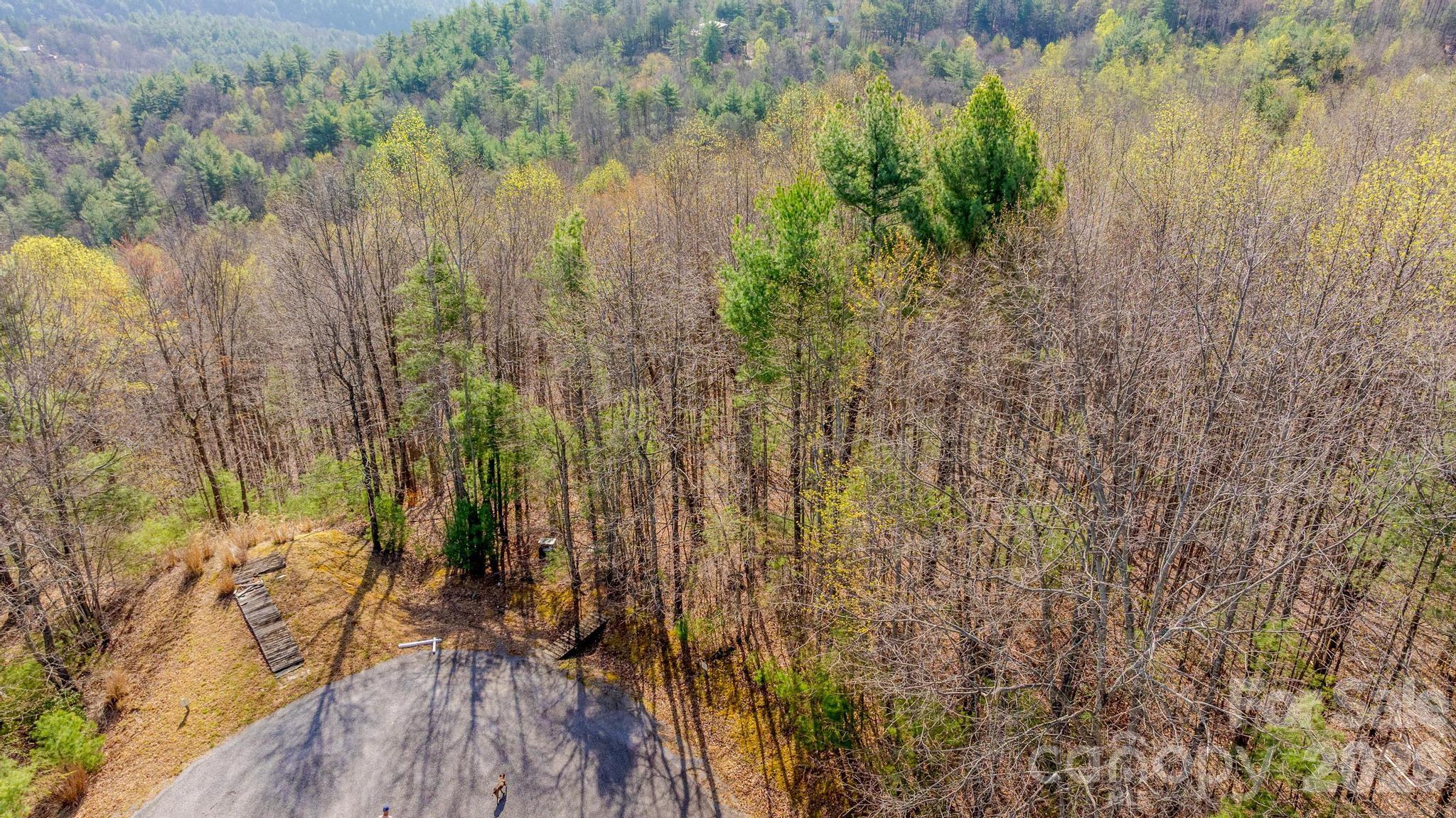 Lot 59 (7C) Cielo Drive Purlear NC 28665