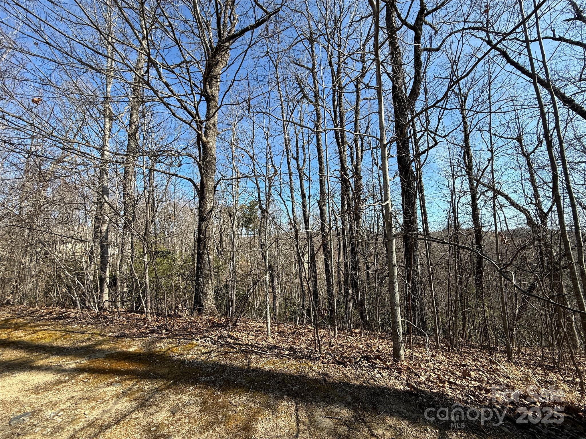 217 Chatsworth Court Flat Rock NC 28731