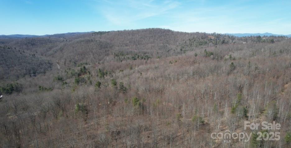 217 Chatsworth Court Flat Rock NC 28731