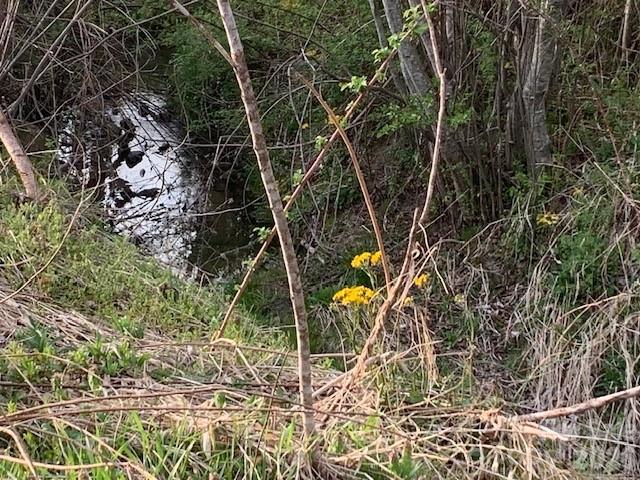 7.33AC Com Chimney Rock Highway Edneyville NC 28792