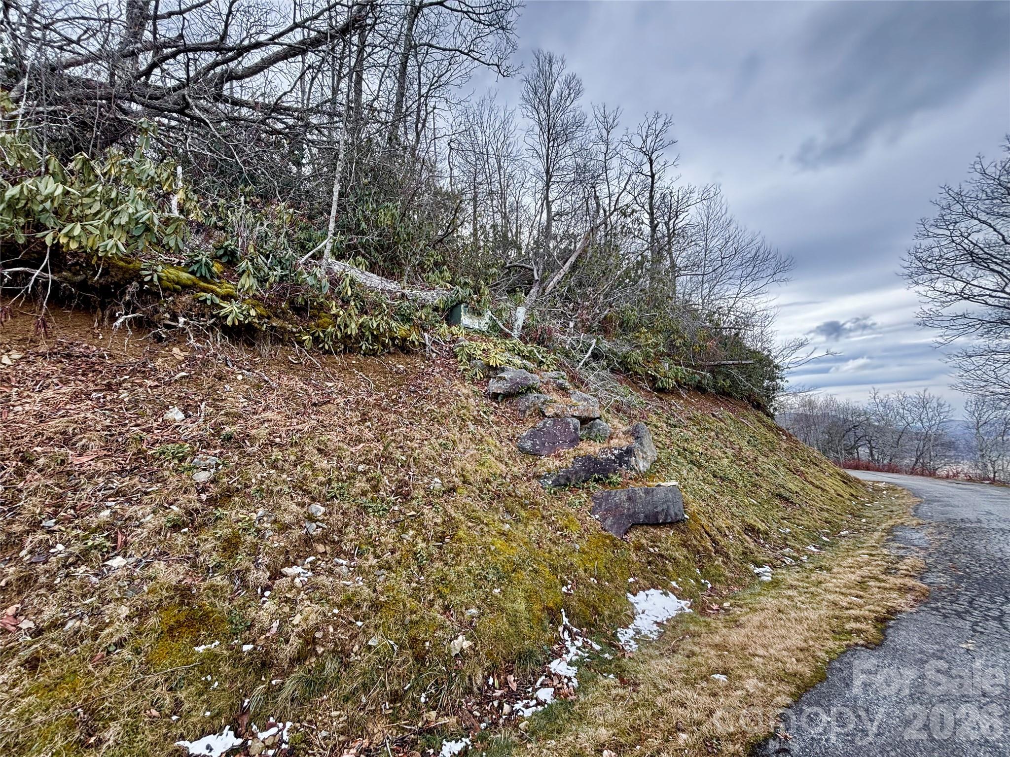 Lot 9 Balsam Drive Newland NC 28657
