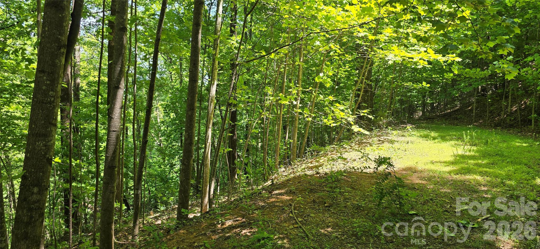 Lot 22b Pinnacle Parkway Union Mills NC 28167