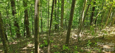 Lot 22b Pinnacle Parkway Union Mills NC 28167