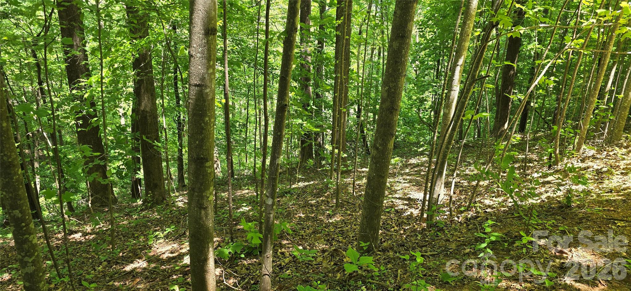 Lot 22b Pinnacle Parkway Union Mills NC 28167