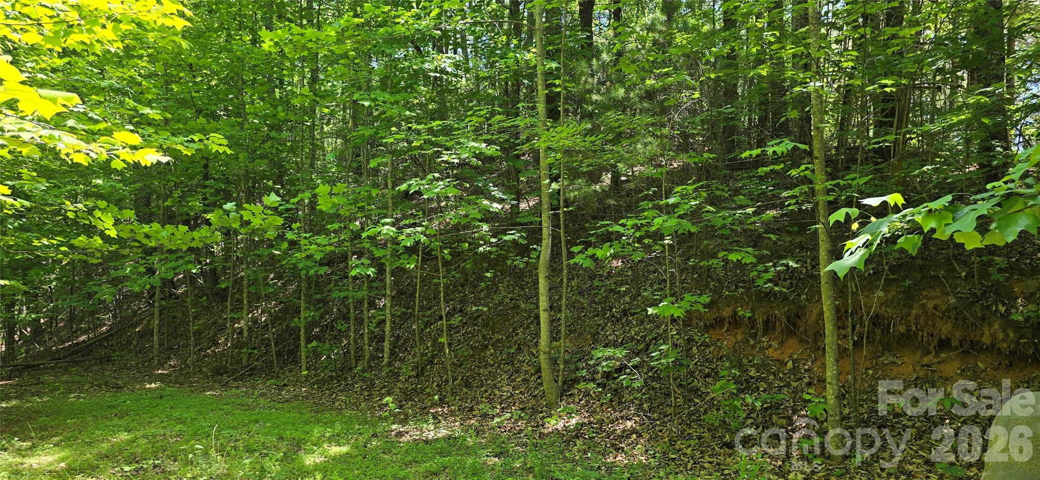 Lot 22b Pinnacle Parkway Union Mills NC 28167
