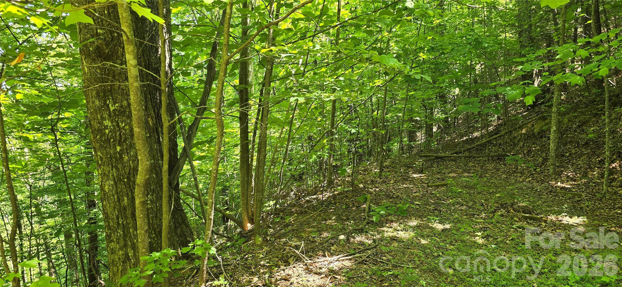Lot 22b Pinnacle Parkway Union Mills NC 28167