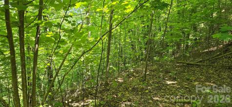 Lot 22b Pinnacle Parkway Union Mills NC 28167
