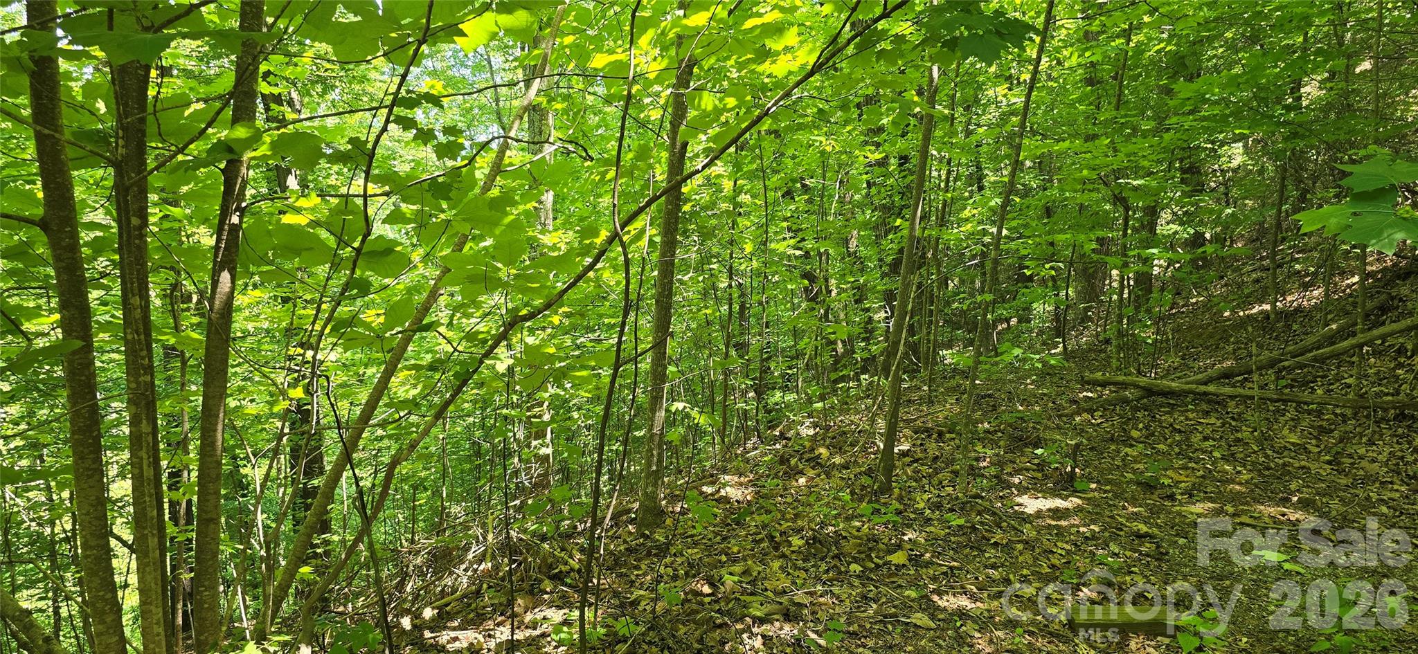 Lot 22b Pinnacle Parkway Union Mills NC 28167