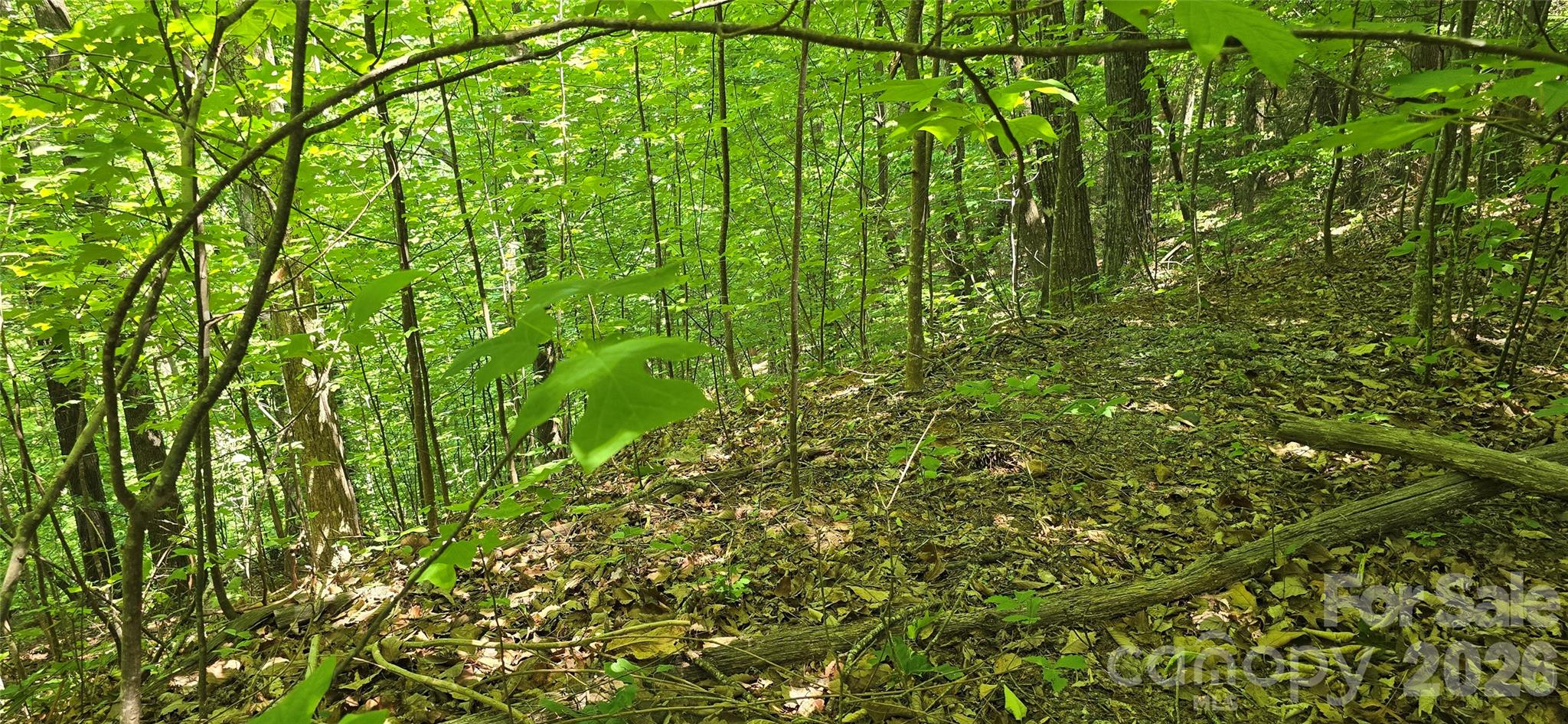 Lot 22b Pinnacle Parkway Union Mills NC 28167