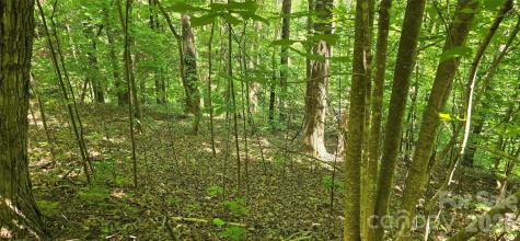 Lot 22b Pinnacle Parkway Union Mills NC 28167
