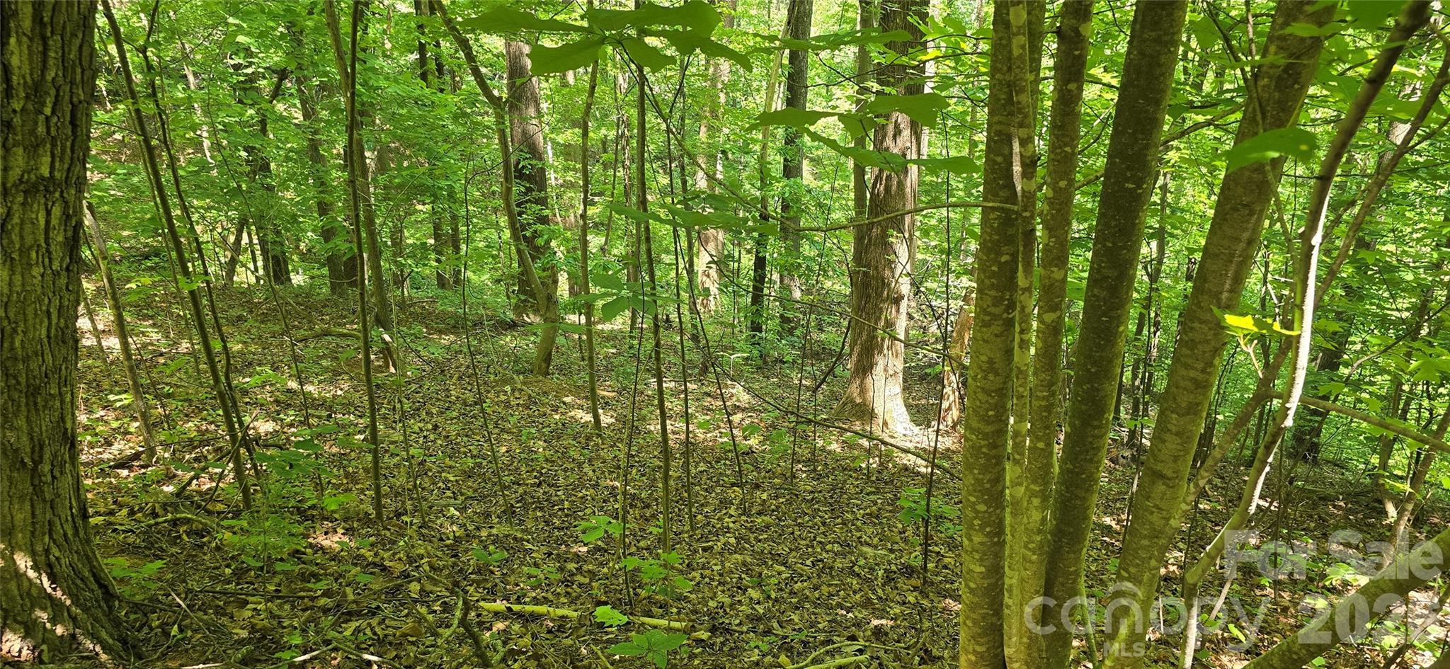 Lot 22b Pinnacle Parkway Union Mills NC 28167