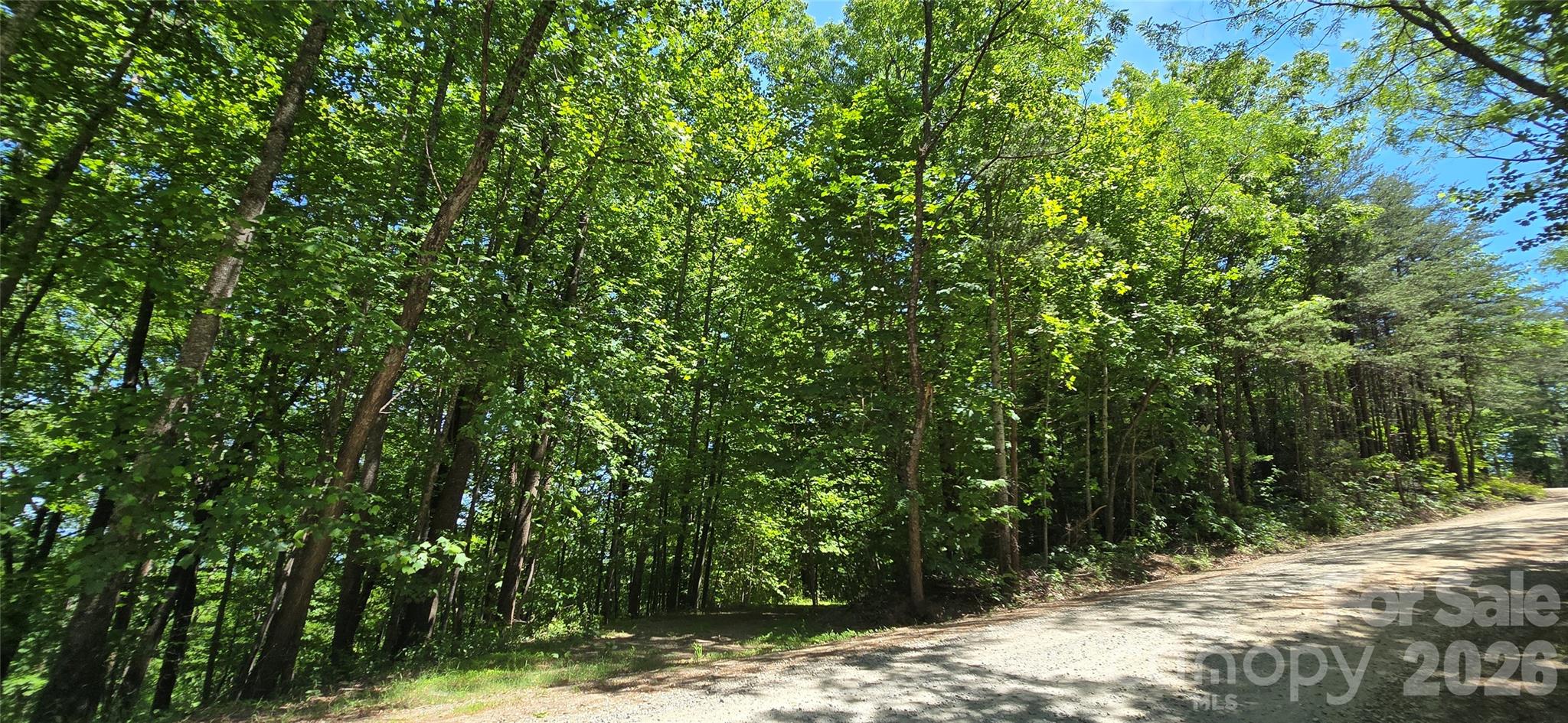 Lot 22b Pinnacle Parkway Union Mills NC 28167