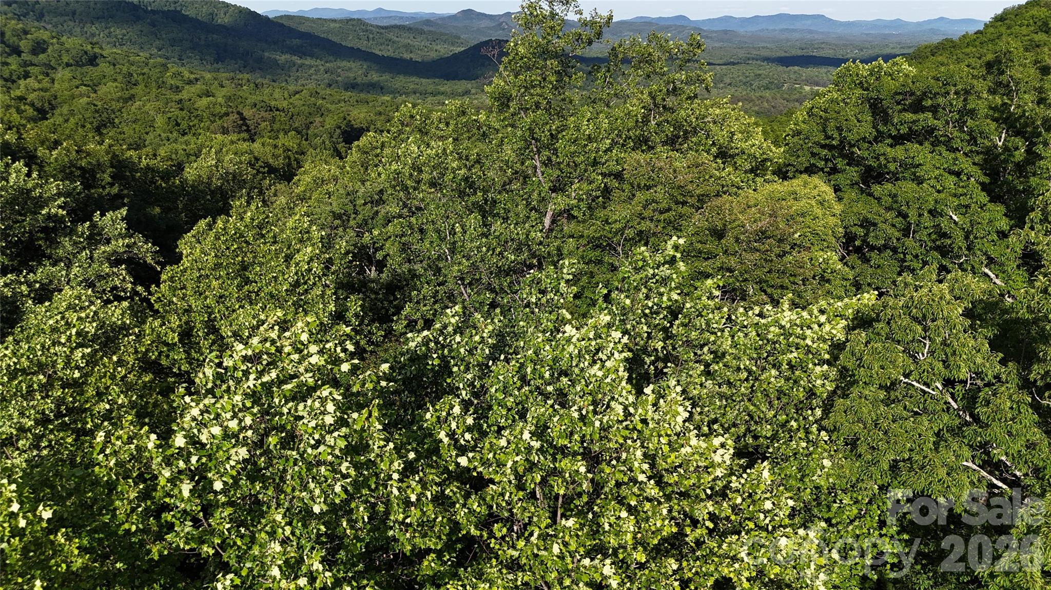 Lot 22b Pinnacle Parkway Union Mills NC 28167