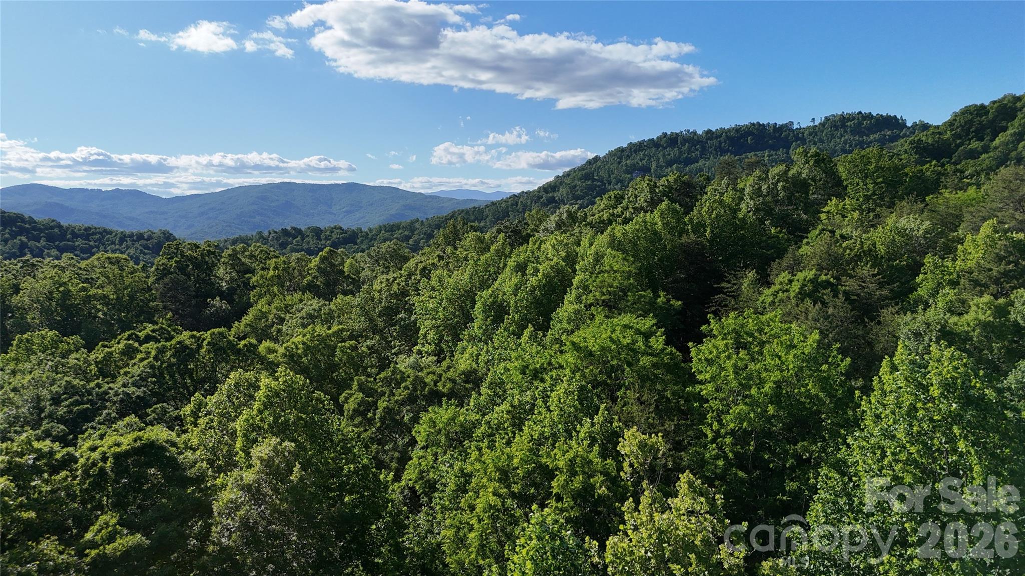 Lot 22b Pinnacle Parkway Union Mills NC 28167