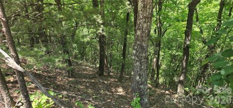 Lot 22b Pinnacle Parkway Union Mills NC 28167