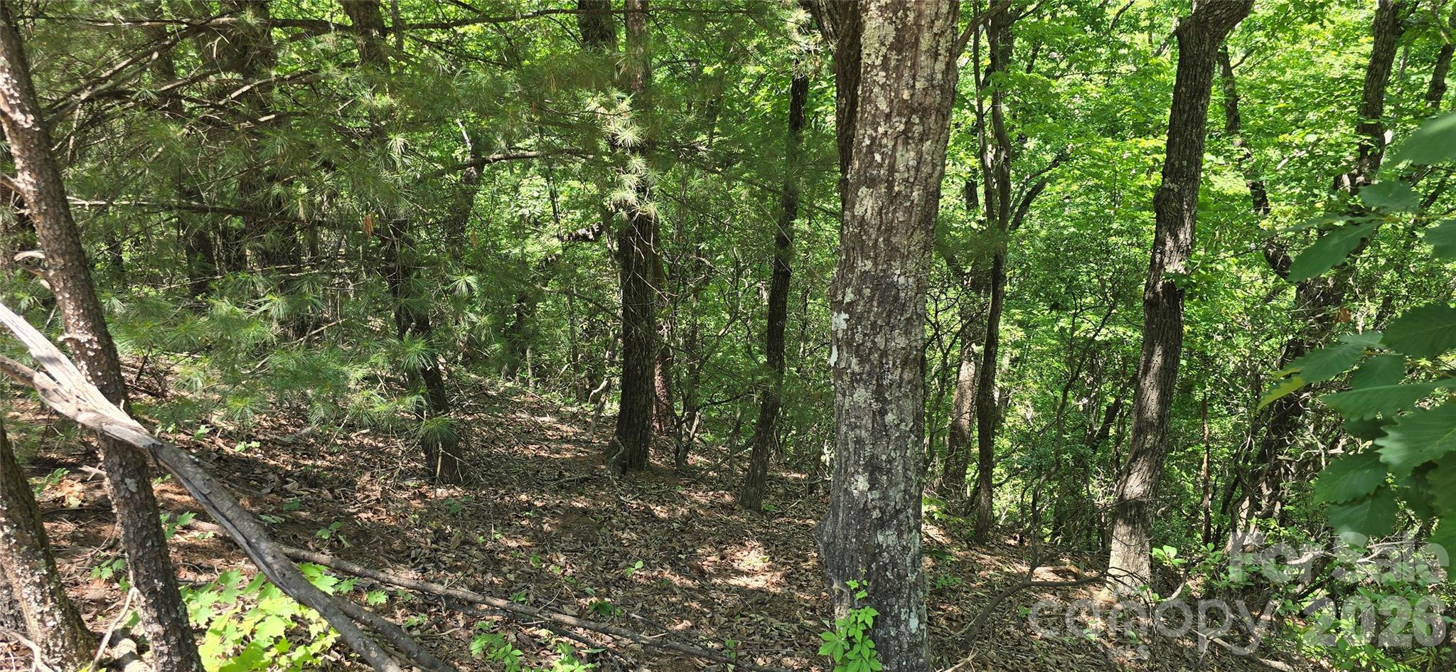 Lot 22b Pinnacle Parkway Union Mills NC 28167